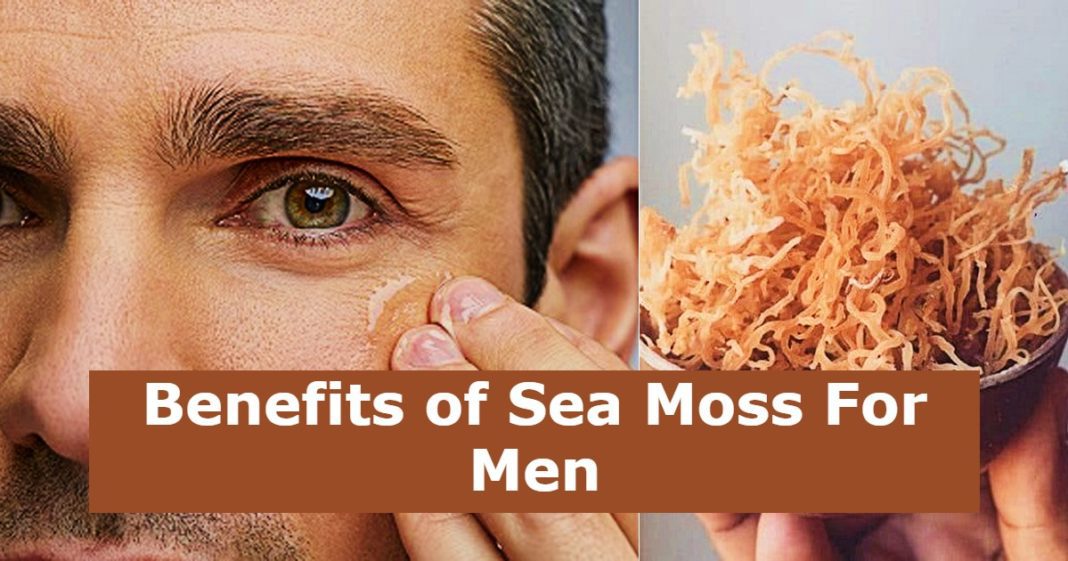 Benefits Of Sea Moss For Men 1068x561 
